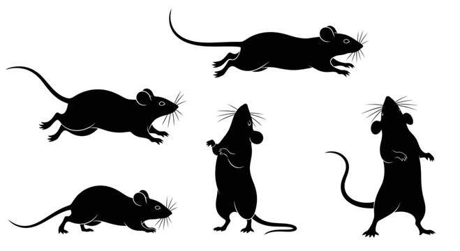Silhouette Of Five Rodents With Various Poses Isolated On A White Background