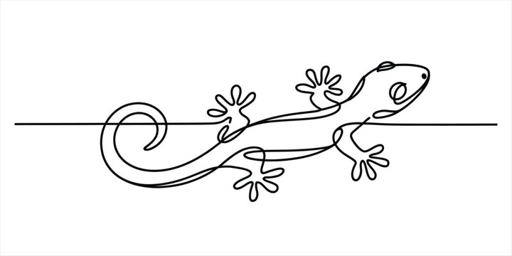 Minimalist continuous line drawing of a lizard or gecko reptile isolated on white. Vector, illustration