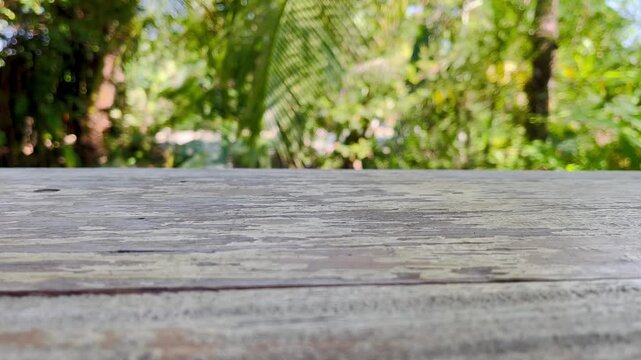 Empty wooden table with nature background, Product display concept