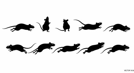 Fototapeta premium Silhouette Of Rodents In Various Poses Against a Clean White Background