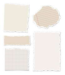 Fototapeta premium Set of various vector torn or ripped pieces of lined, squared or blank paper with shadows