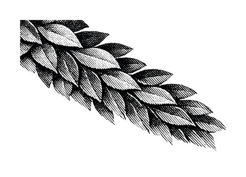 Home organization moment. Person sorting mail into labeled trays or slots, calm focused action and tidy