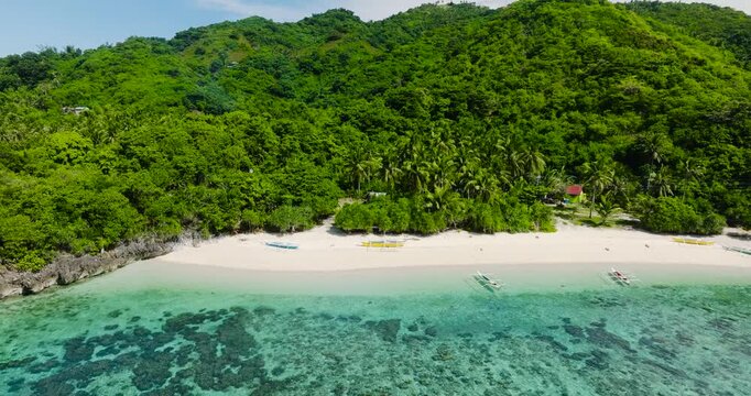 Tropical beach with corals and clear water. Cobrador Island. Romblon, Philippines.