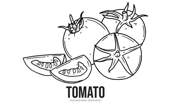 A hand-drawn illustration of ripe tomatoes, one whole and one sliced, showcasing their internal structure and vibrant red color.