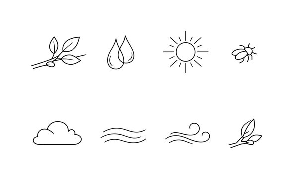 garden flowers and red bugs, seamless pattern, repeating pattern, surface design, textile print, soft color