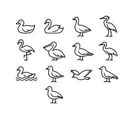 Obraz premium Water birds. Line outline icon set of Water birds: duck, swan, goose, heron, flamingo, pelican, seagull, crane