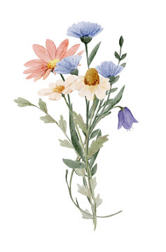 Watercolor wildflowers bouquet. Botanical floral compositions feel light and elegant and ideal for wedding or branding design.