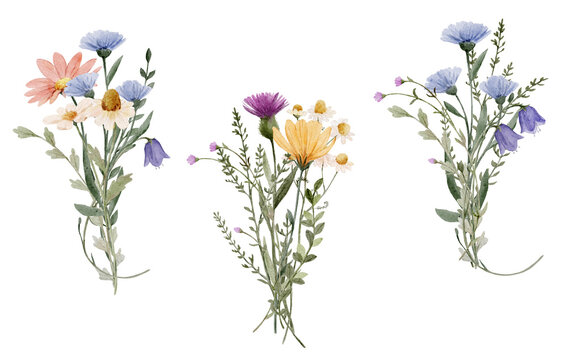 Watercolor wildflower bouquets collection with soft pastel tones. Elegant botanical compositions feel natural and romantic and ideal for wedding design.