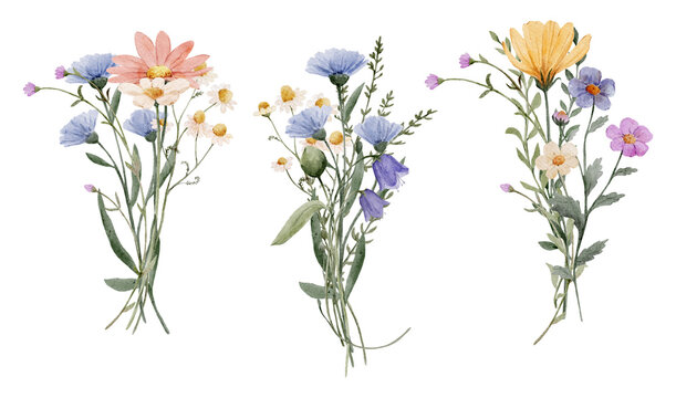 Watercolor wildflower bouquets set with soft natural colors. Botanical floral compositions feel light and elegant and ideal for wedding or branding design.