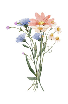 Watercolor wildflowers bouquet with blue flowers. Botanical floral compositions feel light and elegant and ideal for wedding or branding design.