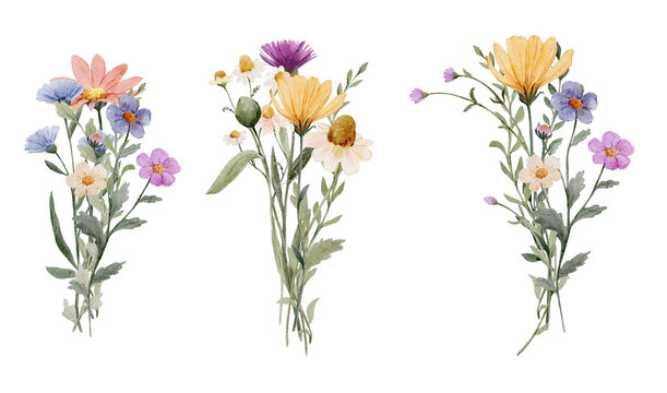 Watercolor wildflower bouquets in soft natural tones. Light botanical arrangements feel elegant and fresh and ideal for wedding or branding projects.