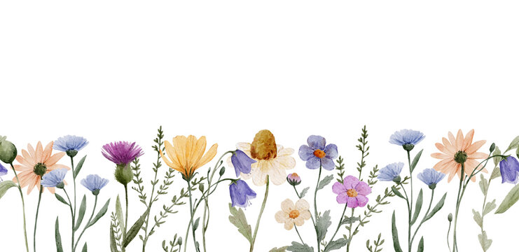 Watercolor wildflowers border with soft pastel meadow flowers. Delicate floral arrangement feels airy and natural and perfect for invitations or spring design.