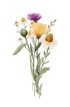 Watercolor wildflower bouquet with soft pastel meadow flowers. Delicate floral arrangement feels airy and romantic and perfect for wedding or branding design.