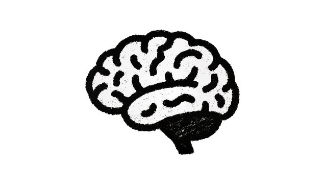 Doodle style human brain with cerebellum and stem, isolated on transparent background