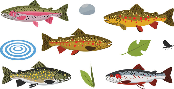 Set of Trout Fish Icons Featuring Rainbow Brown and Brook Trout Species with Aquatic Elements Including Water Ripples River Stones Green Leaves and Fly Insects for Fishing and Nature Graphic Designs
