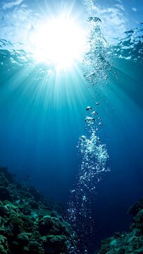 Beneath the surface, the bright sun illuminates a cluster of bubbles rising from unseen depths against a vibrant blue backdrop