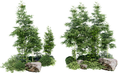 Naklejka premium Bamboo tree on transparent background