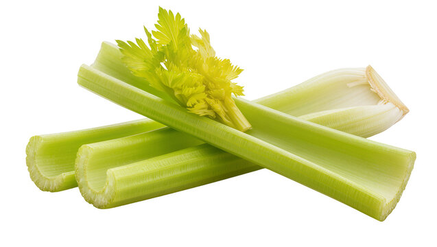 Fresh green celery stalks with feathery leaves, isolated on transparent background