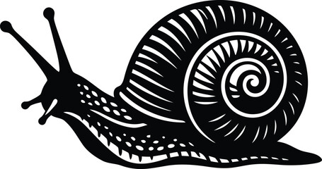 snail isolated on white background © MASRURA