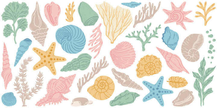 Flat vector set cartoon illustration of colorful sea shells, corals, and plantin various shapes and patterns. For summer, marine, vacation, beach, card, sea, ocean design. Isolated white background.	