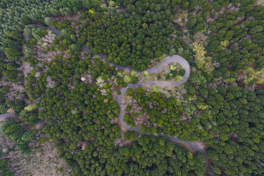 Aerial view of a winding road with sharp hairpin turns snaking through a dense green forest with lush trees Vallombrosa, Tuscany, Italy.