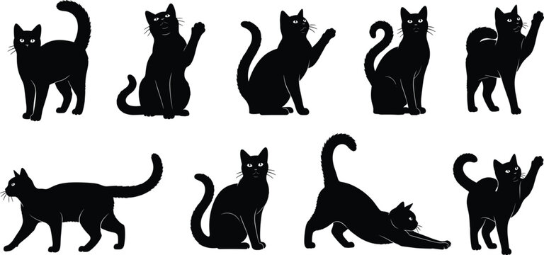 Black cat silhouettes collection, playful feline poses vector set, domestic pet illustrations for Halloween, animal design, and creative branding projects
