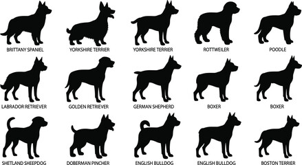 Fototapeta premium Collection of dog breed silhouettes including Labrador, German Shepherd, Poodle, Rottweiler, Bulldog, Terrier, and Retriever vector illustration