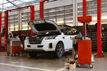 Cars on Hydraulic Lifts Inside Modern Auto Repair Service Garage