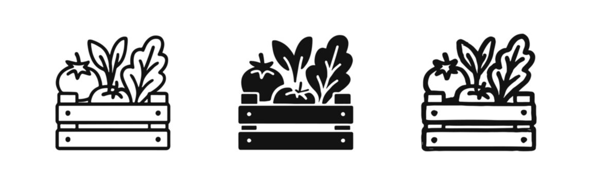 Vegetable Wooden Crate Icon Set in Outline, Solid, and Hand-Drawn Styles for Farmers Market
