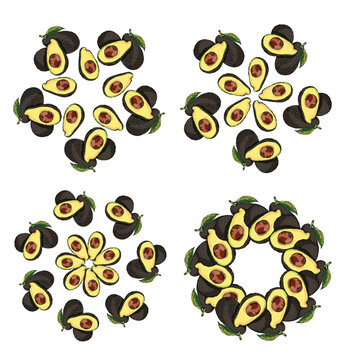 Vector avocado mandala illustrations for frames, graphics and graphic design