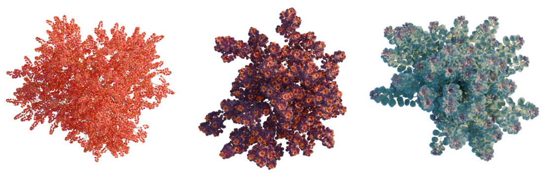 Cotinus grace tree plan, top view, cutout, transparent background, isolate, Realistic 3d render of a small red maple tree isolated on a plain background