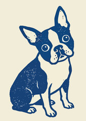 Boston terrier sitting upright with tilted head in vintage two tone blue and cream illustration showing charm and calm expression © Abrar Hussain