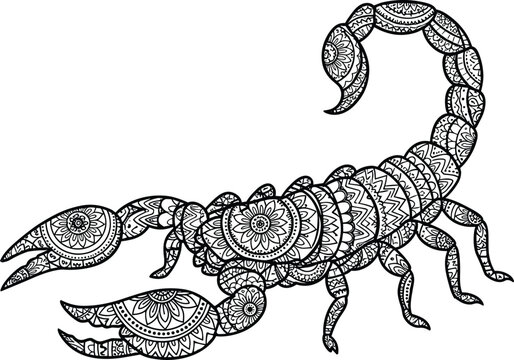 Detailed Scorpion Mandala Vector Illustration Featuring Intricate Floral Patterns and Ornate Zen Ornaments for Adult Coloring Book Pages and Design