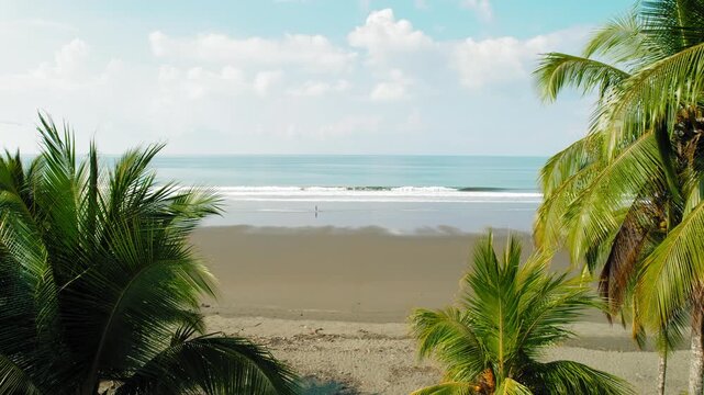 Tropical view of Playa Linda beach and calm ocean framed by palm leaves Costa Rica