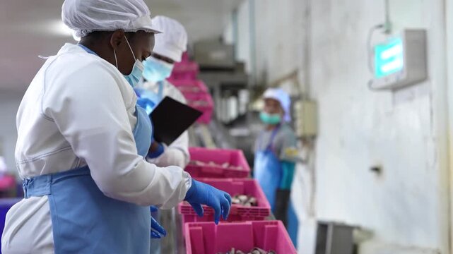 food safety researchers in lab coats discussing quality audit findings in seafood processing facility. A food safety inspector holding a clipboard while overseeing factory workers processing seafood