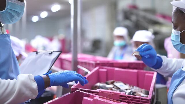 food safety researchers in lab coats discussing quality audit findings in seafood processing facility. A food safety inspector holding a clipboard while overseeing factory workers processing seafood