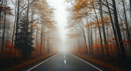 Obraz premium Road through foggy forest during autumn with trees and atmospheric perspective