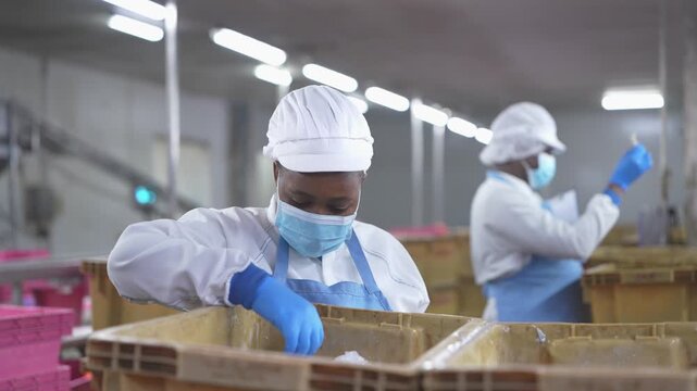 food safety researchers in lab coats discussing quality audit findings in seafood processing facility. A food safety inspector holding a clipboard while overseeing factory workers processing seafood