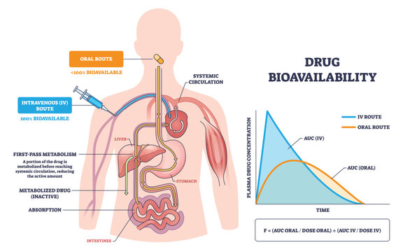 Drug bioavailability outline shows oral vs IV absorption and first-pass effects through liver and gut, pill, syringe, and concentration-time graph illustrate systemic exposure. Diagram