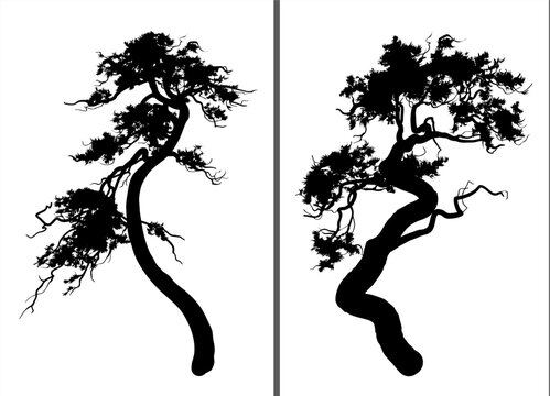 A set of two pine tree silhouettes. Bonsai