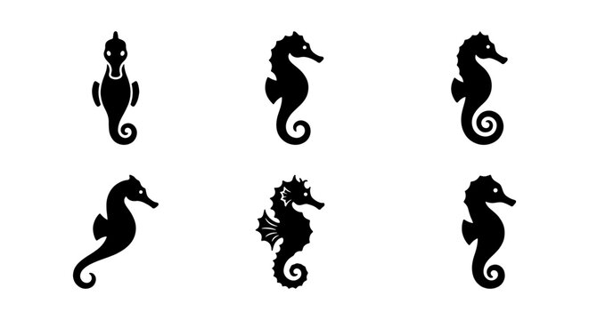 Minimalist seahorse silhouette icons, black aquatic animal vector set of 6 elements, nautical sea life symbols for branding and logo design