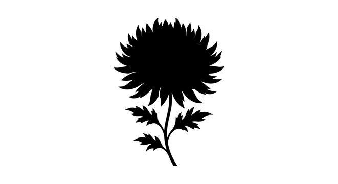 Chrysanthemum flower silhouette vector, black floral blossom icon on white background, botanical dahlia or aster plant illustration for logo design