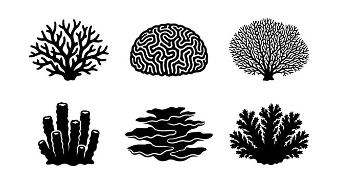 Black coral reef silhouettes, set of 6 underwater sea plant icons, marine life vector elements, brain coral and sea fan illustrations for ocean design