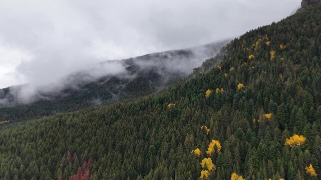 Aerial landscape of evergreen mountain forest under heavy cloud cover with patches of fall color.
