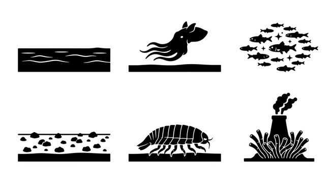 Deep sea marine life icons, black silhouette ocean creature set, aquatic ecosystem and hydrothermal vent vector elements for marine biology
