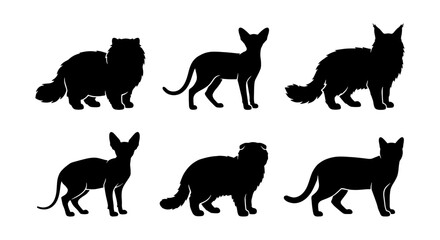 Black cat silhouettes set of 6 vector icons, various feline breeds including Persian and Siamese, domestic cat breed collection for pet shop branding © Jannatul