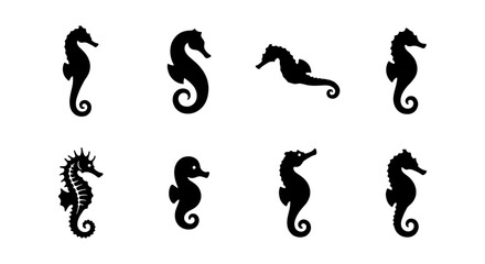 Black seahorse silhouette collection, set of 8 aquatic animal icons, minimalist sea horse vector shapes for marine life branding and ocean logos © Jannatul