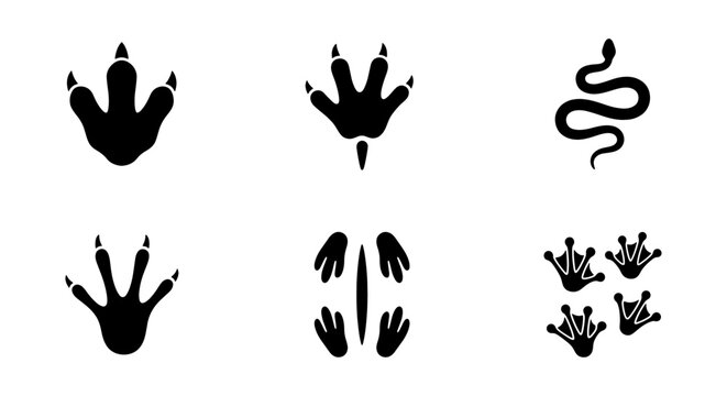 Reptile footprint silhouettes collection, black lizard and dinosaur paw prints, snake trail and amphibian tracks, 6 vector icons for nature design
