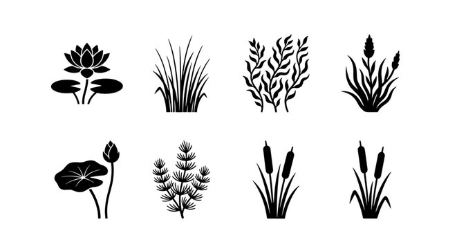 Black aquatic plant silhouettes set, 8 vector icons of pond vegetation and river flora, lotus flower and cattail reed symbols for nature design
