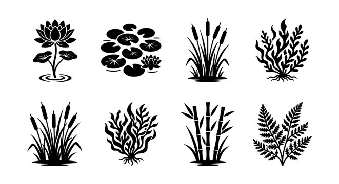 Black aquatic plant silhouettes set, 8 pond vegetation icons including lotus and cattails, botanical water lily and seaweed vector elements for landscape design